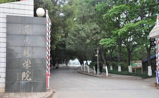 西南林业大学_西南林业大学怎么样